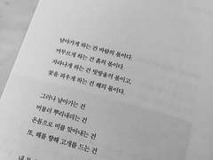 [체이칼리] fin (外)