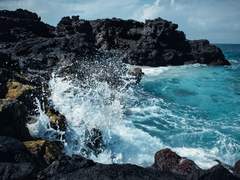 어서오세요 산왕탕에! 1