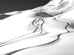 디아볼릭 에스퍼가 자살했다.