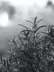 슬기로운 감빵생활