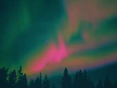 우성명헌 | 오로라를 찾아서