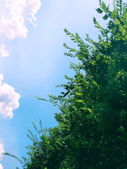 Five world - Hwayoon