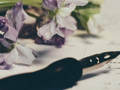 성향과 드림 목록