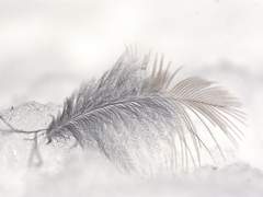 자네가 바란다면.