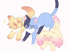 토우야 조합 위주