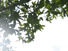 1화 좋아했었던