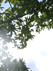 사랑이란 감정을 알려준 사람이 너라서