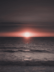 [청려문대]프롬 좀아포