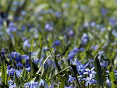 이제 완연한 봄날이네요!