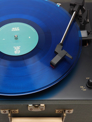 차라리 바보가 되겠어