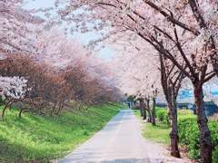 [태웅백호] Buzzer Beater From T To B - 4