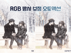 [유료] RGB 방사 보정 오토액션