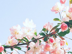 마이키 집착 가이드수