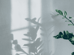 [준탯] 30-day project (2)