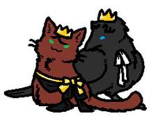 홍염의 성좌 백업