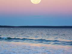 마리미카/UNTITLED/