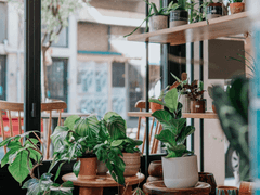 [호열백호] 바다꽃집, 영업 중입니다 외전 1