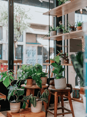 바다꽃집, 영업 중입니다