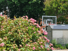 [뱅상] 변하지 않는 것