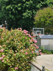 찰나의 조각일지라도