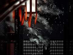 [조로산] 여우의 눈물이 나리는 곳