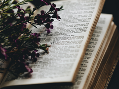 [모리리] 요정의 아이