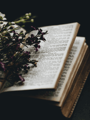 공중정원 서지 목록 중 6번 집행자 부대 보고서