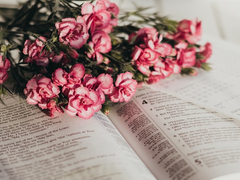 [한서강천] 사랑은 선의지인가요? 下