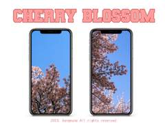 cherry blossom
