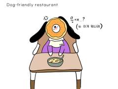 반려동물 레스토랑 갔다온 썰