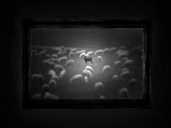 엘리 엘리 사박다니