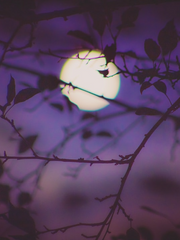 ~채팅형 호러 코믹 판타지 창작 단편~