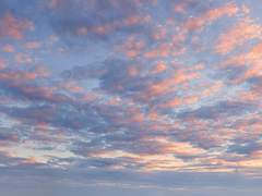 마리미카 커미션