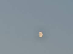 Y a-t-il eu quelque chose de heureux dans ce monde ?