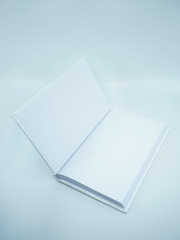 [성하] 장편 소설 독후감