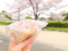 D+41 새벽 4시 반에 일어나는 갓생