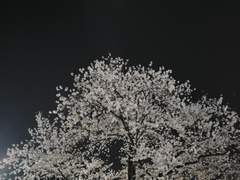 그저 악몽이었습니다.