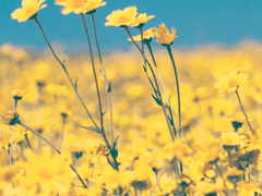 [가비지타임] 준수랑 재유 나오는 단문들 모음