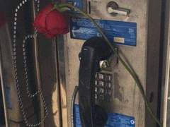 로맨스 수리 가능