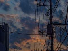 탕-VR세상은 사실입니다-1