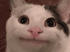 SD 현철명헌 그래서 제목을 뭘로 하면 좋지