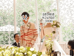 케레스의 온실 가장~하고 싶지 않은 그라티아 투표 결과