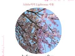 강백호 생일기념 하나미치 사진 필터 공유