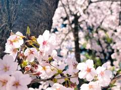 짧은 조각글 모음