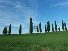 독일쥐의 이탈리아 기행 1편