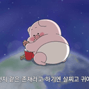 졔콩