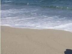 [태섭대만] 모래성 下