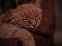 𝐓𝐡𝐞 𝐑𝐞𝐚𝐬𝐨𝐧 𝐖𝐡𝐲 𝐈 𝐑𝐮𝐧 𝐀𝐰𝐚𝐲