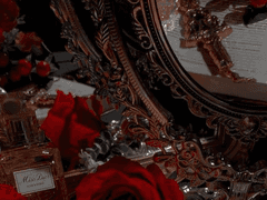 사랑이라는 이름으로