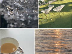 아날로그 감성사진 테마 작품 구매 _ 풍경